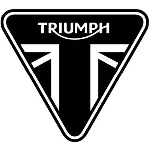 Seat Belts - Shop by Vehicle - Triumph